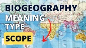 what-is-biogeography